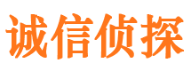 乐至市侦探公司